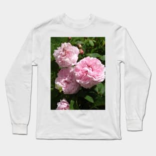 Rose Flower Blush Pink Long Sleeve T-Shirt